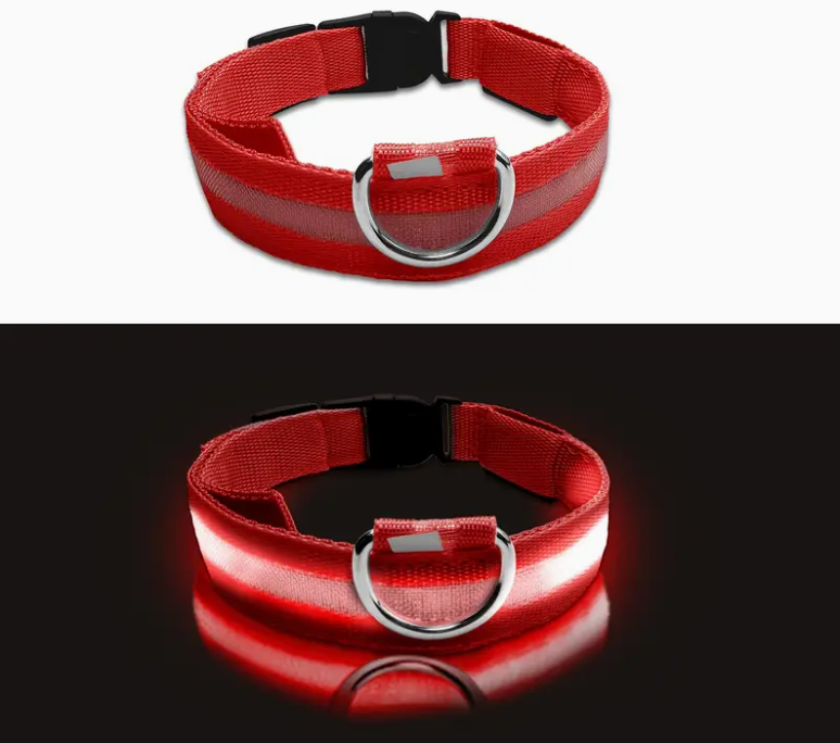 Red LED Dog Collar – Adjustable, High Visibility for Night Walks